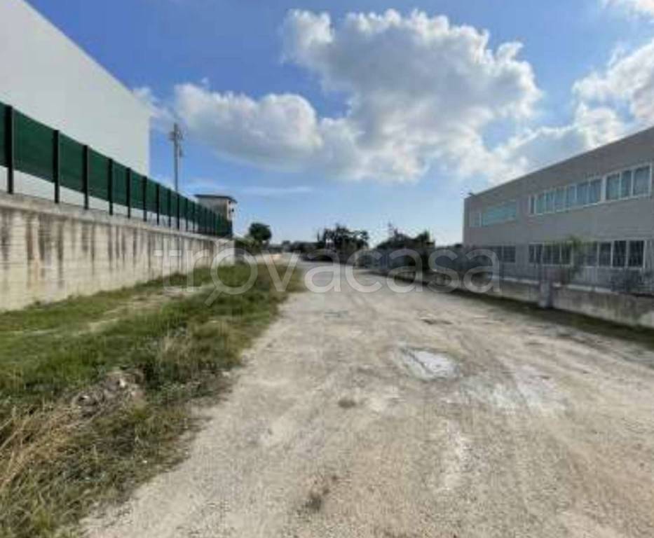 immagine annuncio 10 di 13