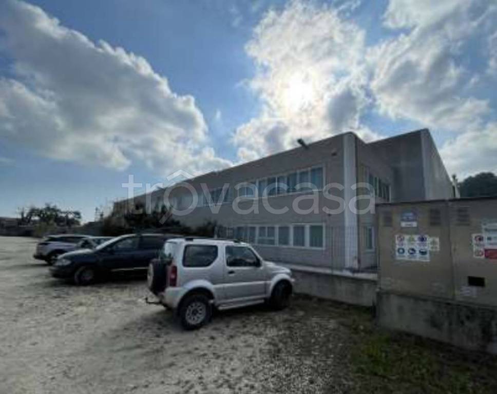 immagine annuncio 11 di 13