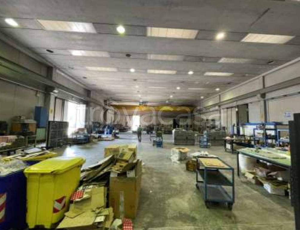 immagine annuncio 12 di 13