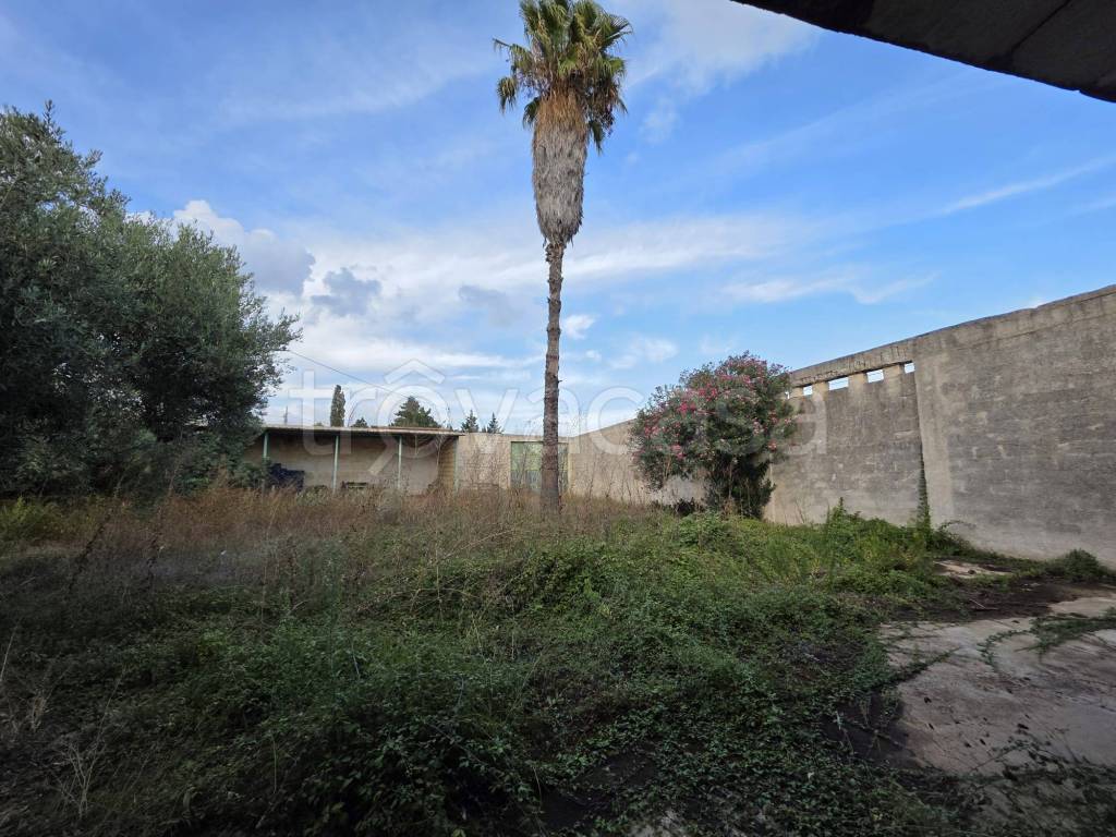 immagine annuncio 3 di 12