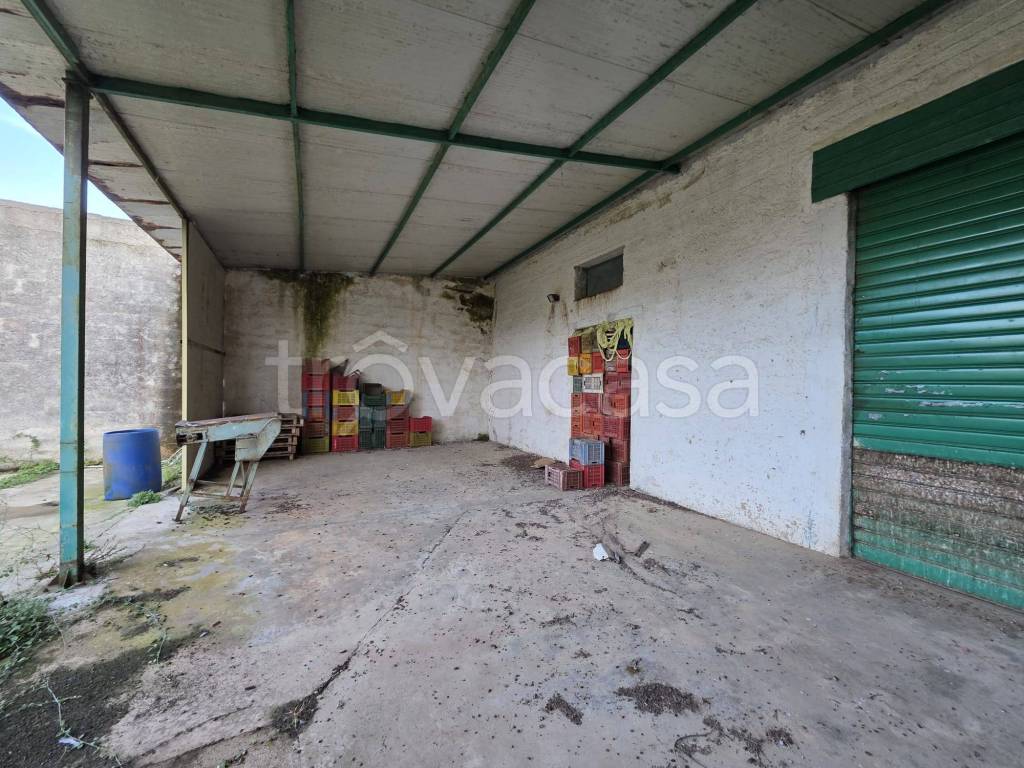 immagine annuncio 5 di 12