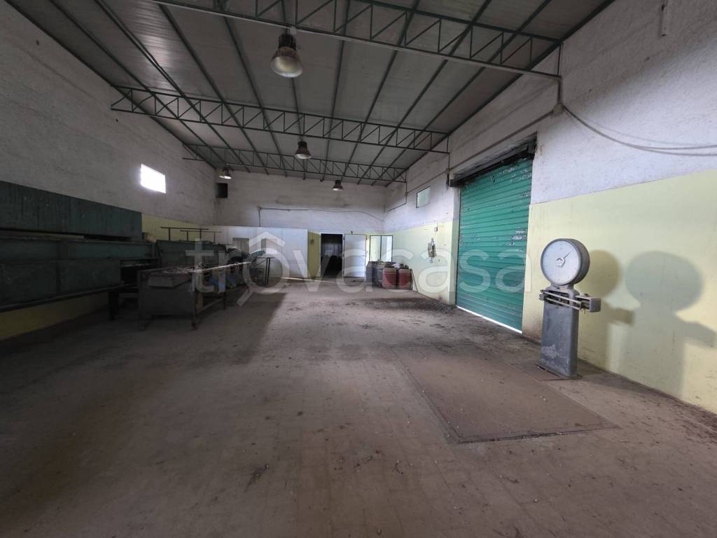 immagine annuncio 10 di 12