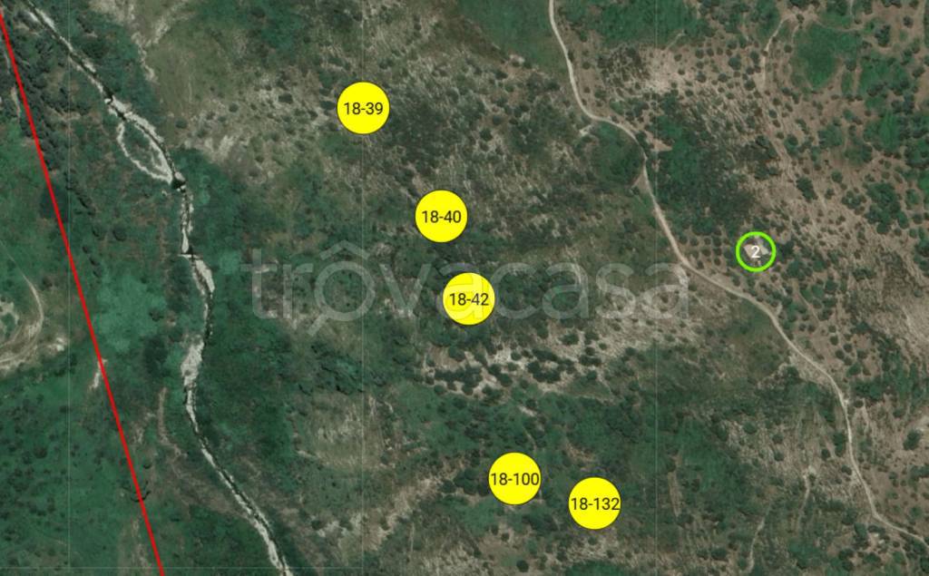 immagine annuncio 3 di 11