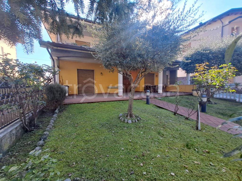 immagine annuncio 1 di 12