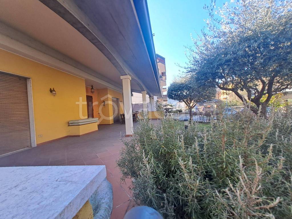 immagine annuncio 7 di 12