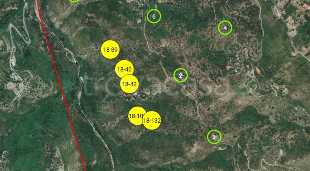 immagine annuncio 6 di 11