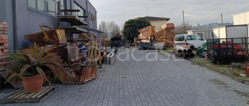 immagine annuncio 6 di 15