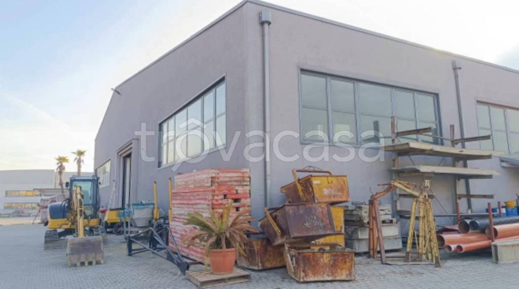 immagine annuncio 9 di 15