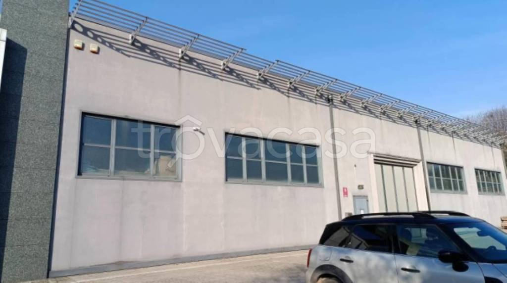 immagine annuncio 11 di 15