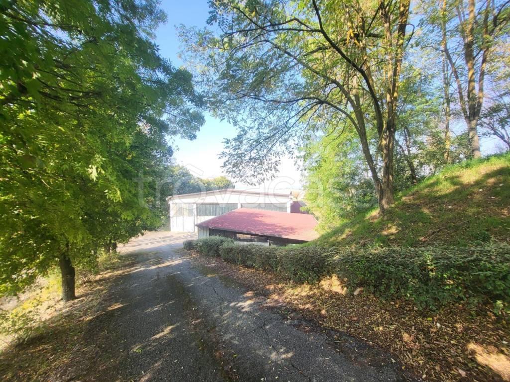 immagine annuncio 1 di 4