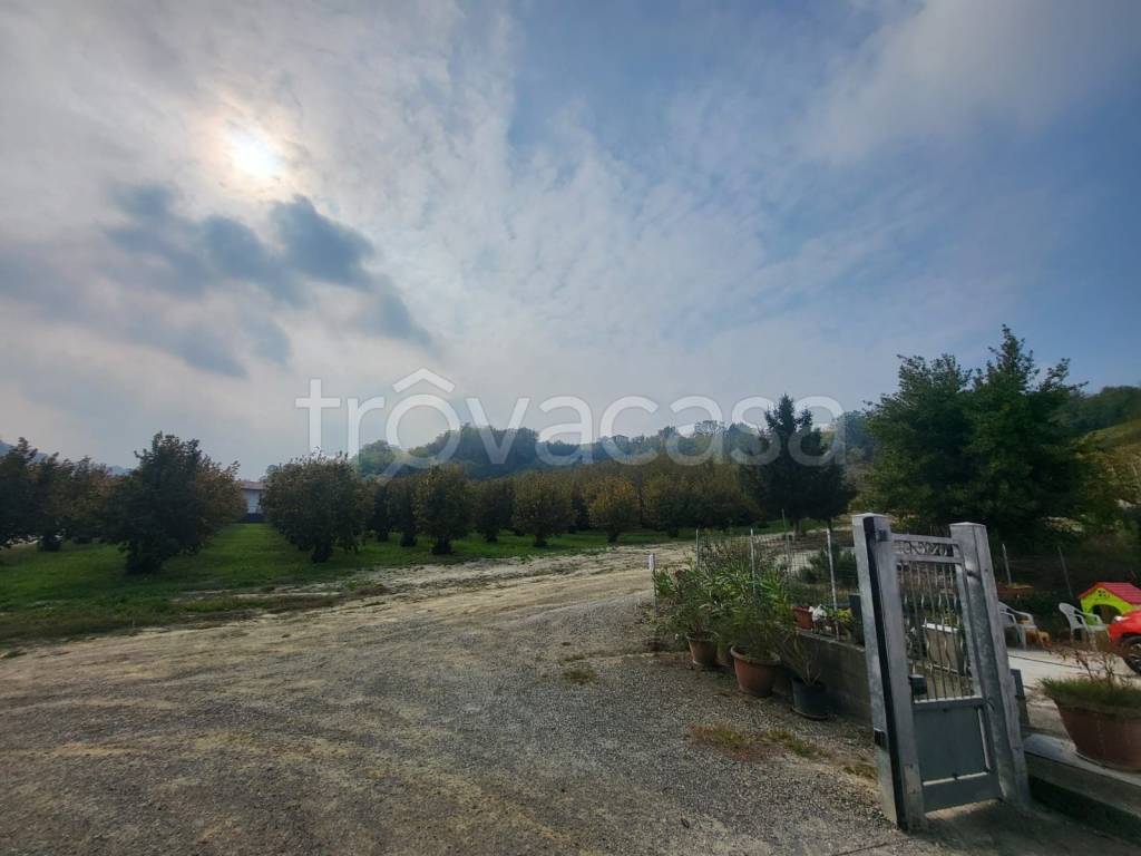 immagine annuncio 2 di 6