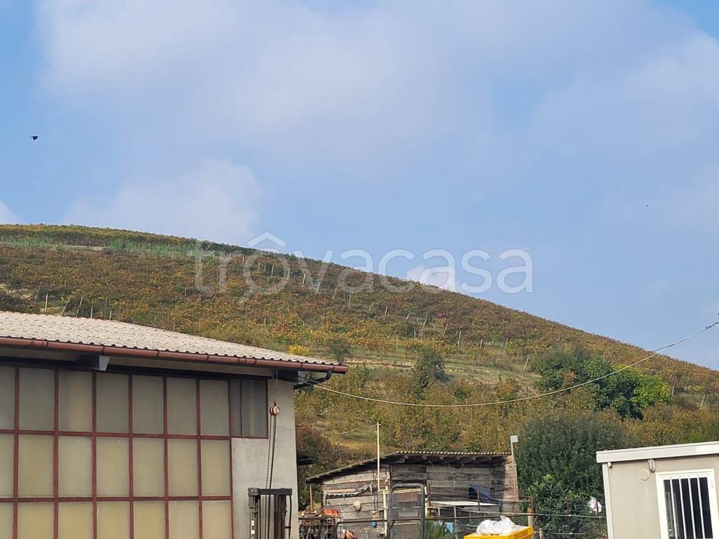 immagine annuncio 3 di 6