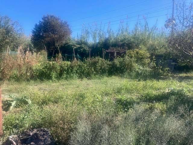 immagine annuncio 5 di 9