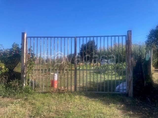 immagine annuncio 7 di 9