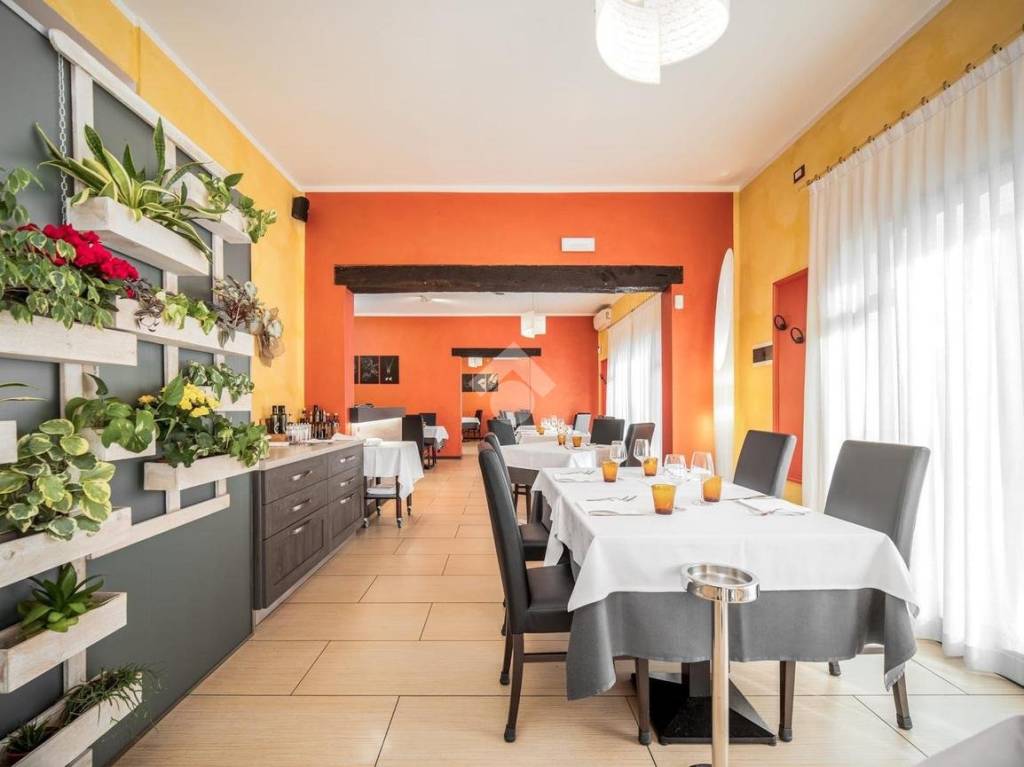 immagine annuncio 7 di 12