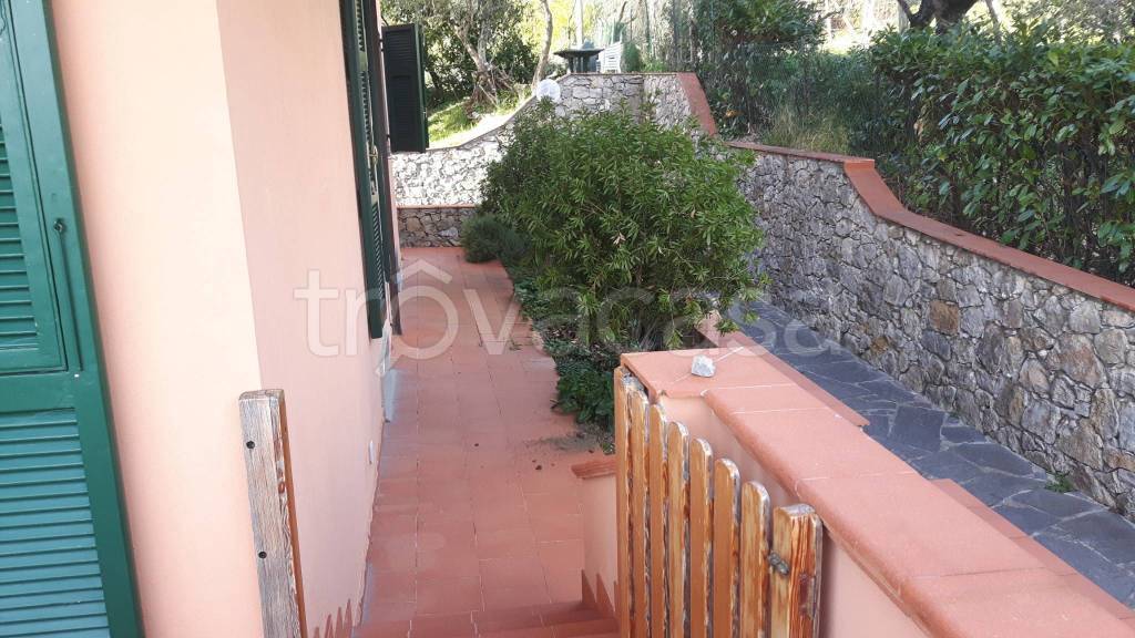 immagine annuncio 5 di 8