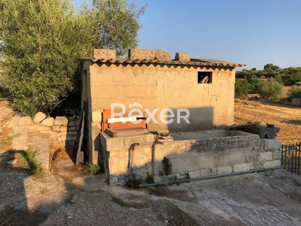 immagine annuncio 3 di 8