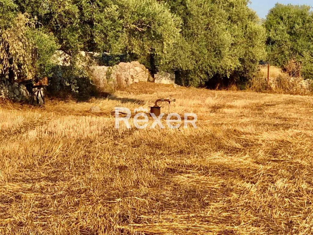 immagine annuncio 5 di 8