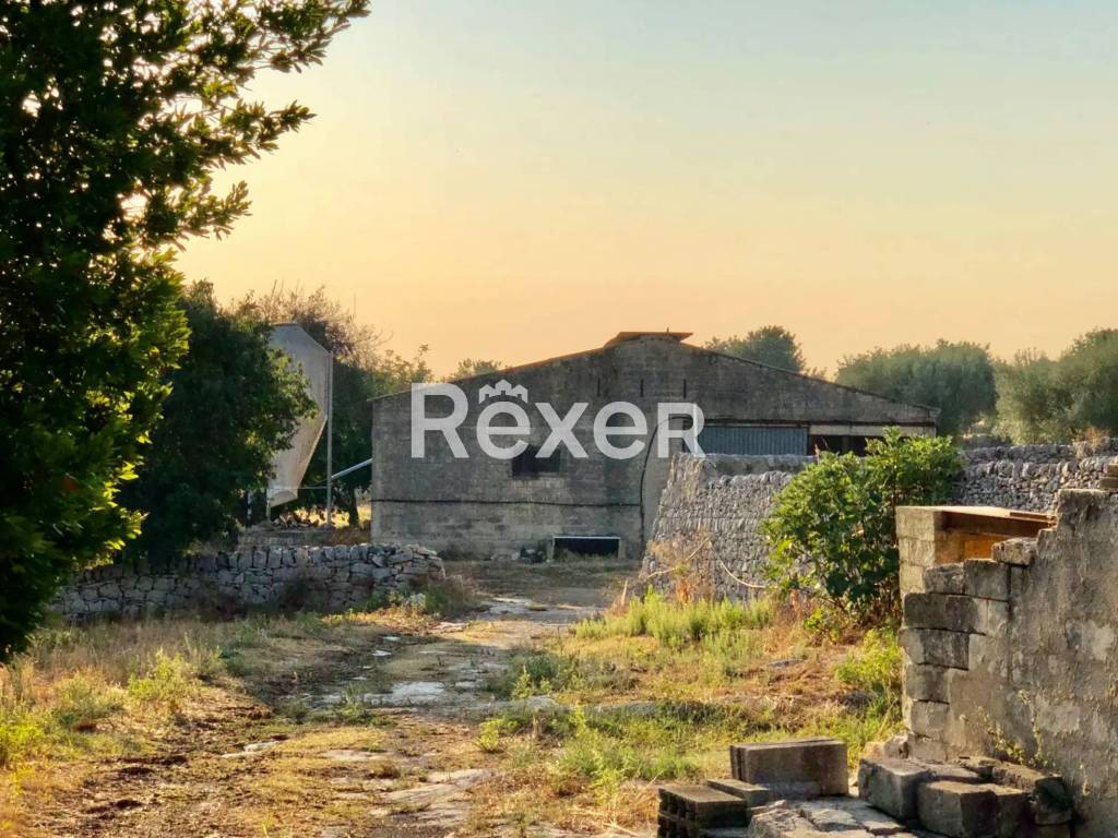 immagine annuncio 6 di 8