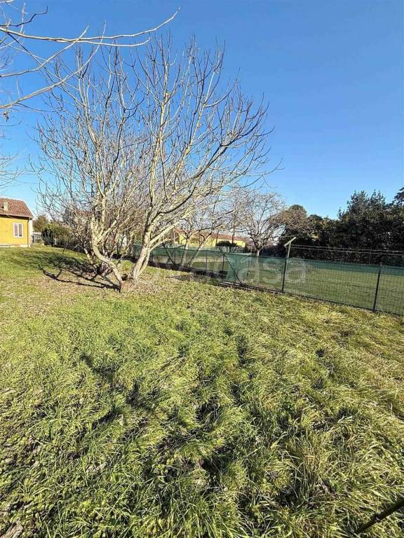 immagine annuncio 10 di 15