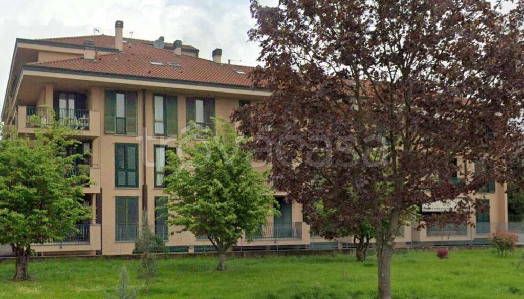 immagine annuncio 3 di 15