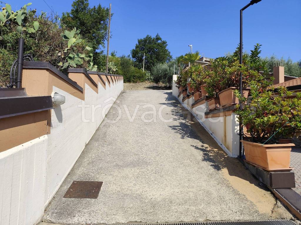 immagine annuncio 4 di 12