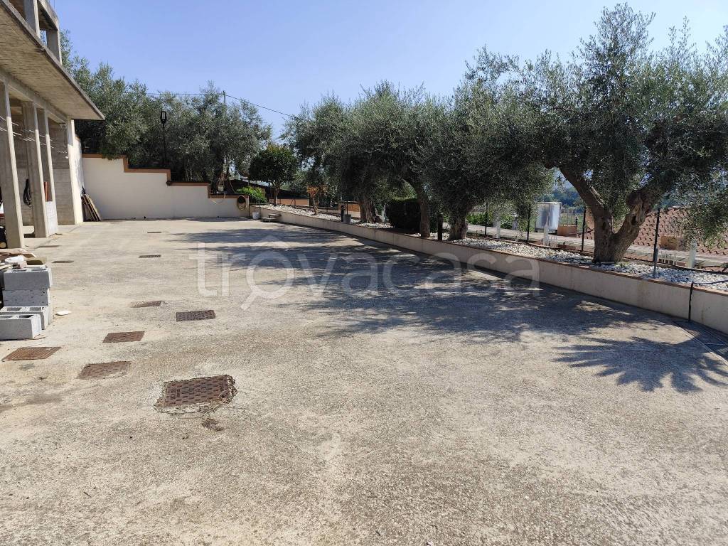 immagine annuncio 9 di 12