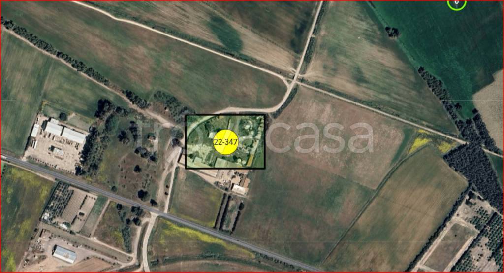 immagine annuncio 11 di 12