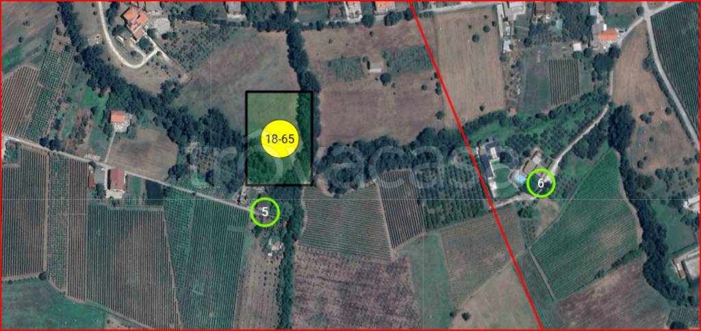 immagine annuncio 11 di 12