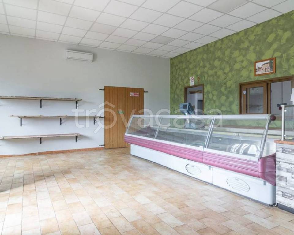 immagine annuncio 11 di 13