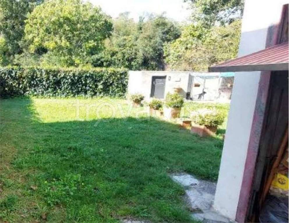 immagine annuncio 3 di 11