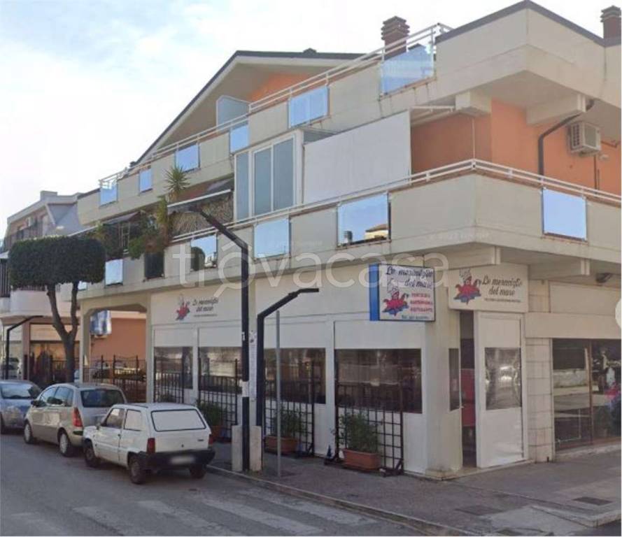 immagine annuncio 2 di 11