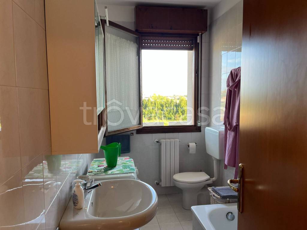 immagine annuncio 7 di 14