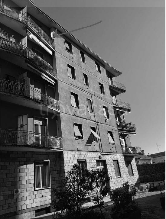 immagine annuncio 1 di 14