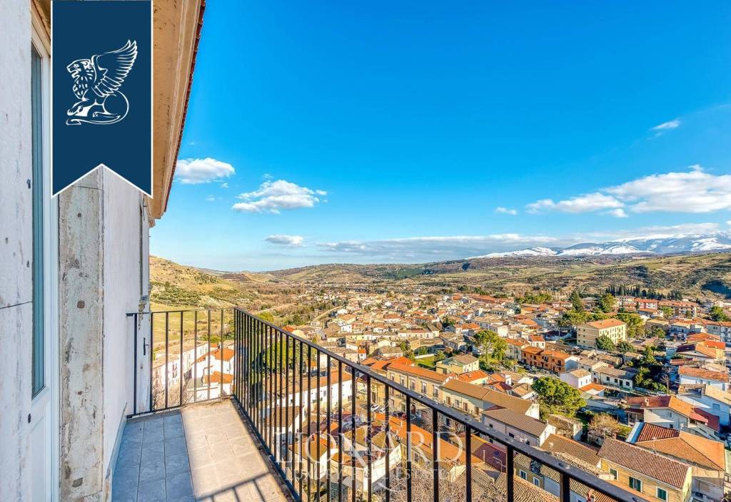 immagine annuncio 6 di 14