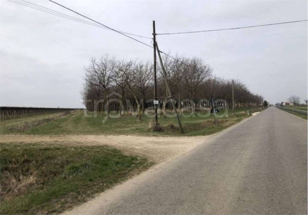 immagine annuncio 8 di 14