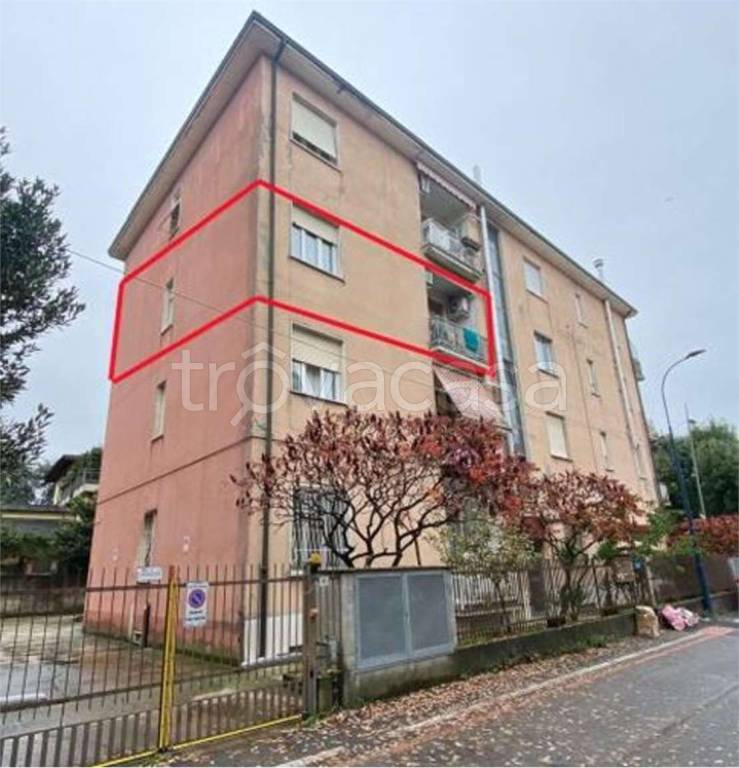 immagine annuncio 1 di 13