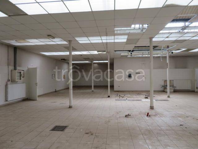 immagine annuncio 4 di 11