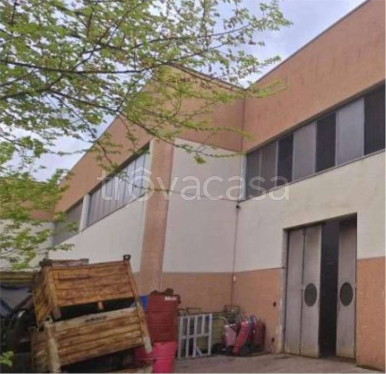 immagine annuncio 8 di 13