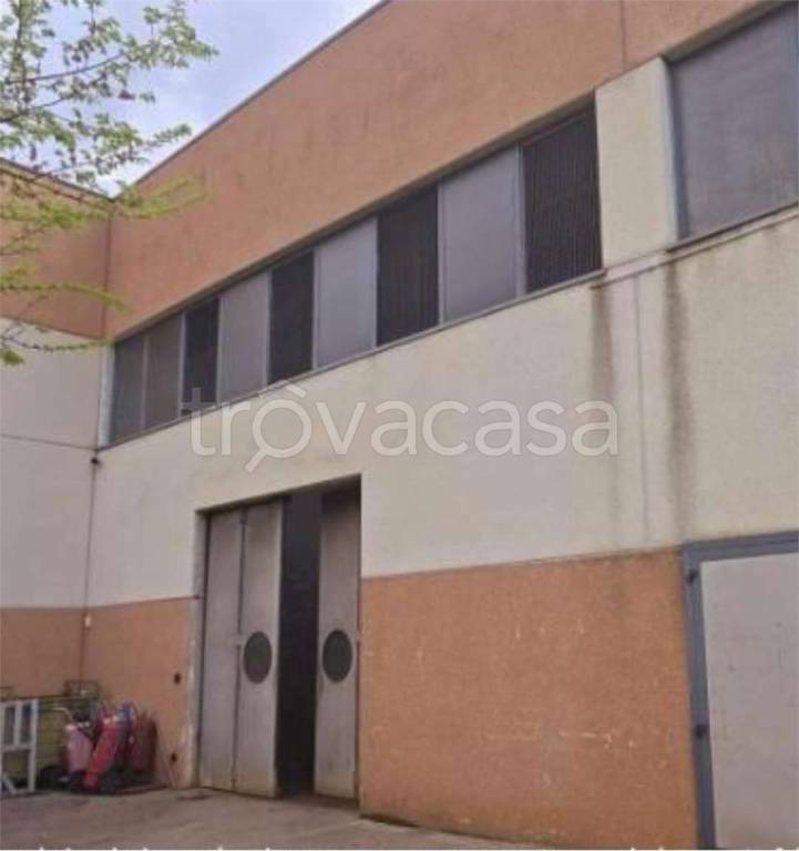 immagine annuncio 9 di 13