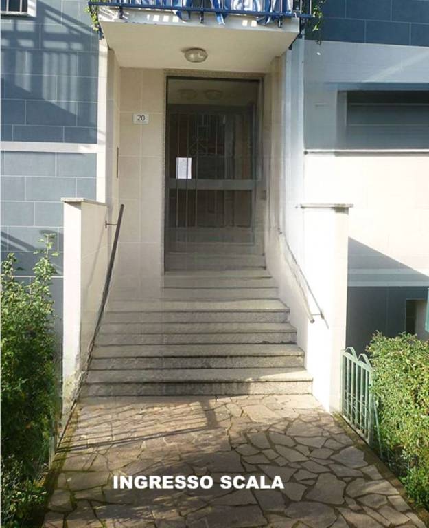 immagine annuncio 1 di 14