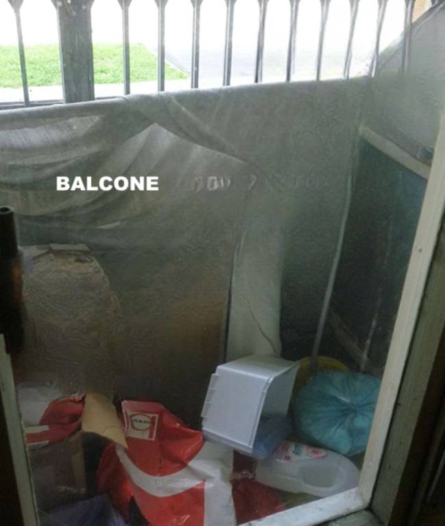 immagine annuncio 7 di 12