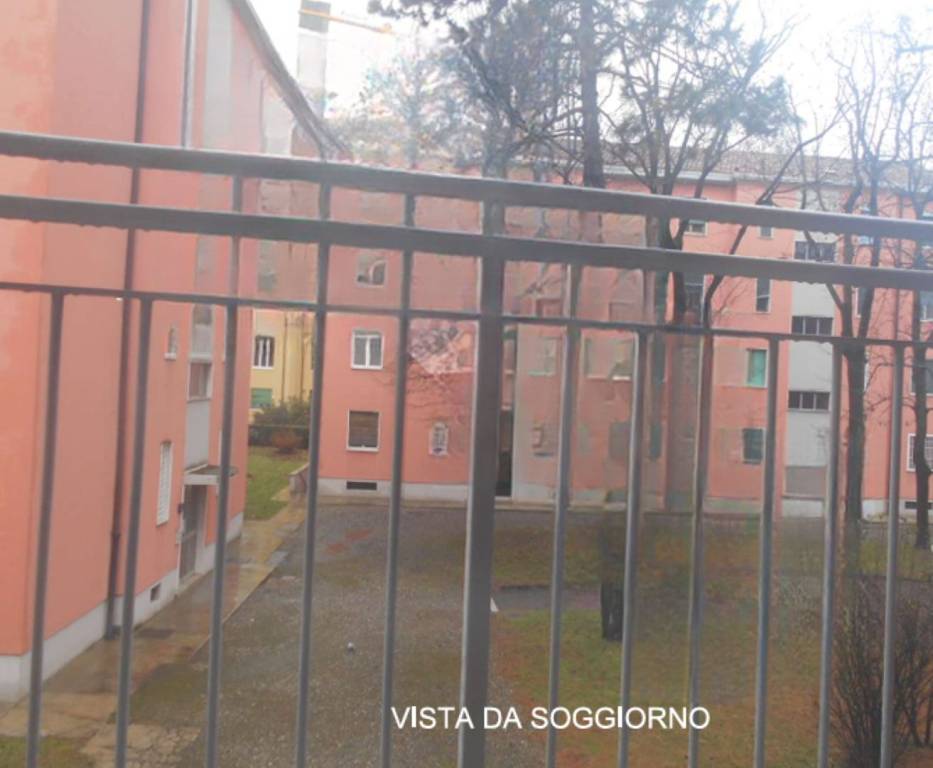 immagine annuncio 5 di 12