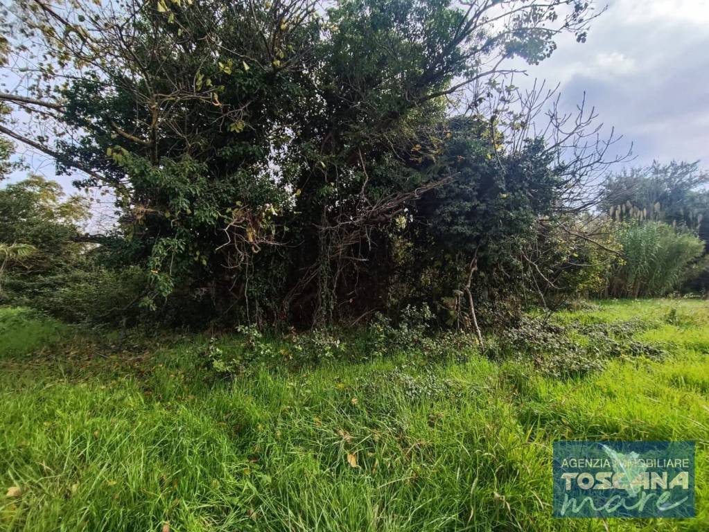 immagine annuncio 10 di 11