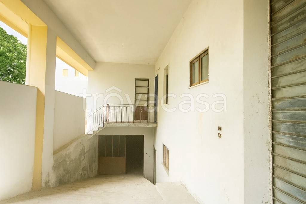 immagine annuncio 6 di 14