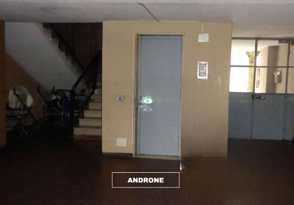 immagine annuncio 1 di 12