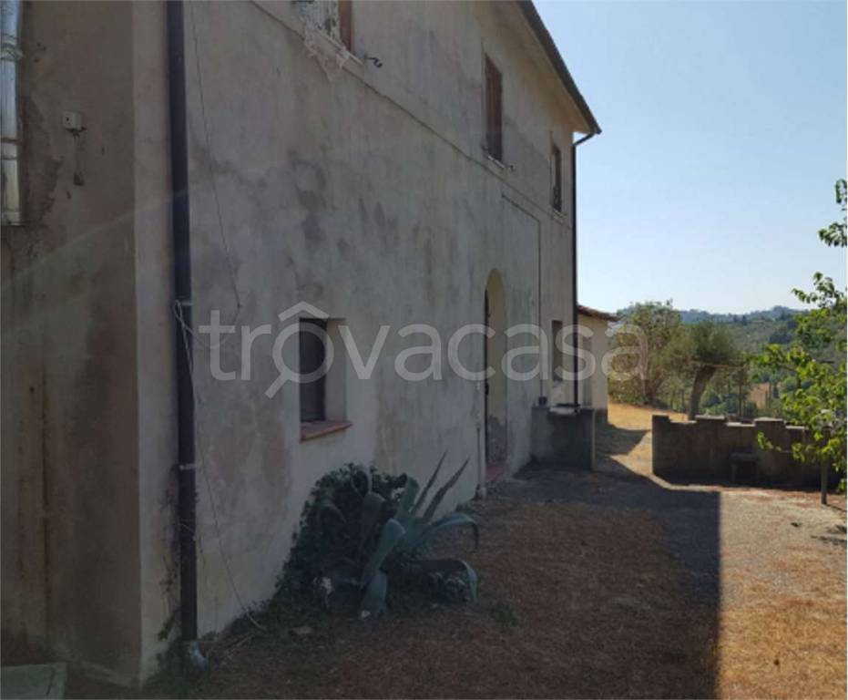 immagine annuncio 3 di 8