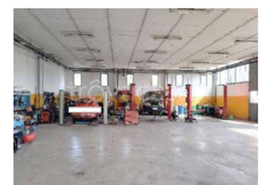 immagine annuncio 12 di 15