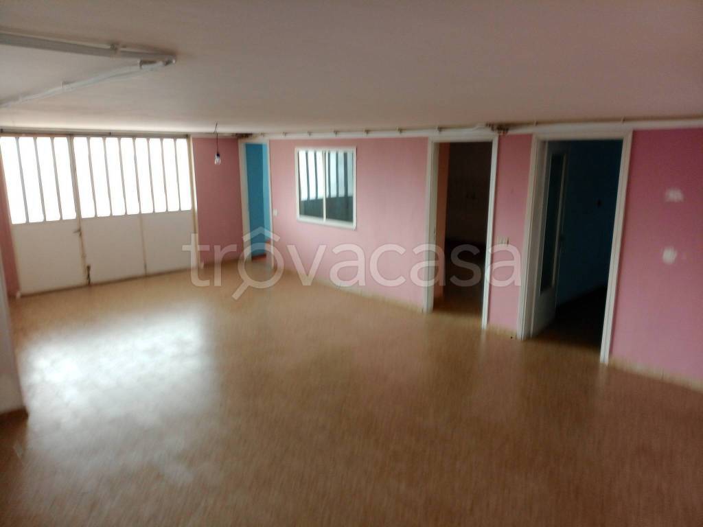 immagine annuncio 7 di 14