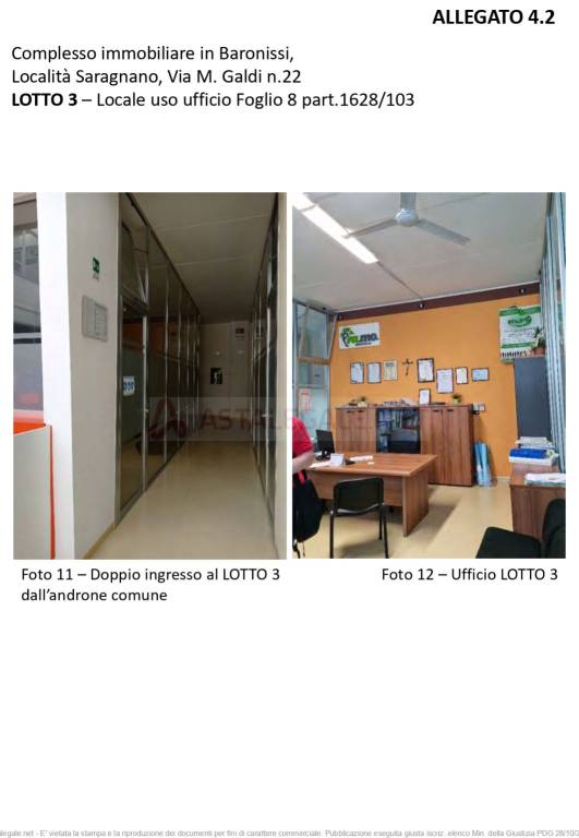 immagine annuncio 3 di 15